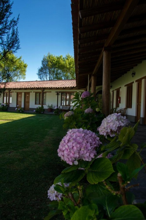 Ensenada Hotel y Campo Asociado Casa Andina image 9